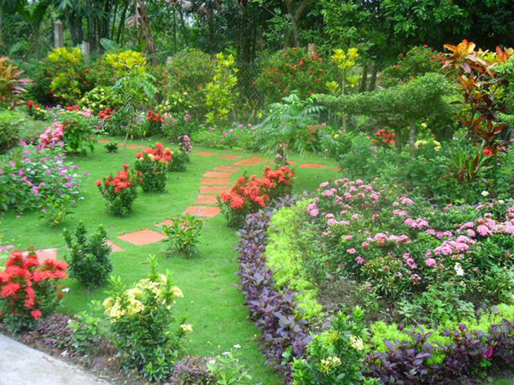tư vấn thiết kế sân vườn
