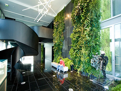 Thiết kế nội thất văn phòng với cây xanh
