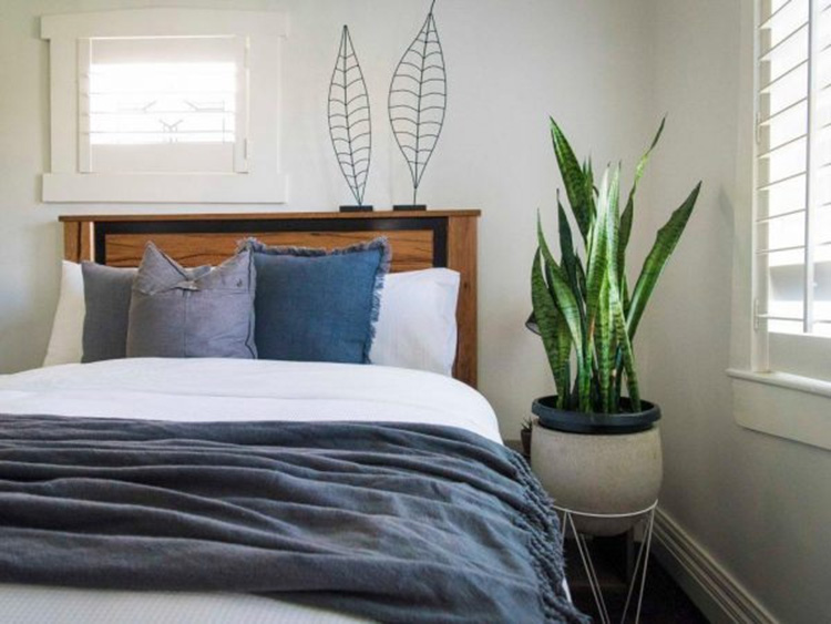 Phòng ngủ có cây xanh giúp lọc không khí