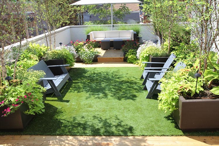 Mẫu thiết kế sân vườn với thảm cỏ xanh