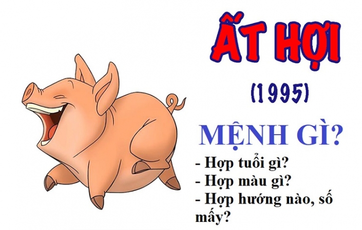 Tuổi 1995 hợp hướng nào AccHome